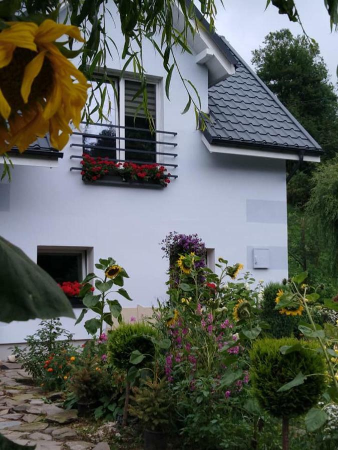Ferienwohnung Aura Lewin Klodzki Exterior foto